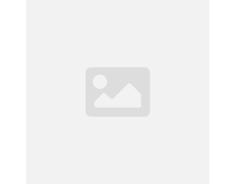 27mm Genişlik Termal Pos Rulosu